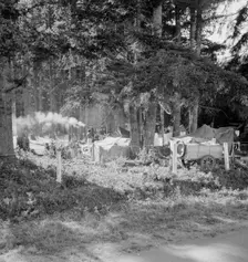 Large private auto camp in woods at end of day, near West Stayton, Marion County, Oregon, 1939. Creator: Dorothea Lange