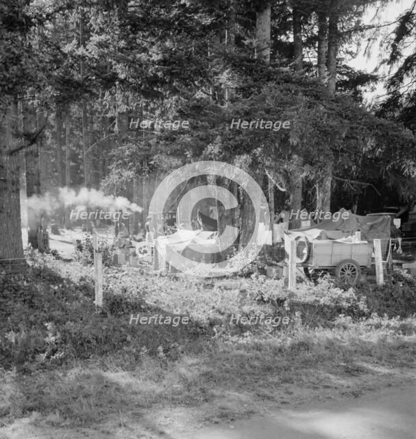 Large private auto camp in woods at end of day, near West Stayton, Marion County, Oregon, 1939. Creator: Dorothea Lange.