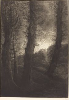 Large Trees Seen against the Sun (Les grandes arbres: Effet du soir). Creator: Alphonse Legros