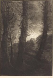 Large Trees Seen against the Sun (Les grandes arbres: Effet du soir). Creator: Alphonse Legros