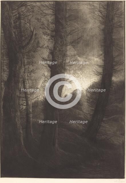 Large Trees Seen against the Sun (Les grandes arbres: Effet du soir). Creator: Alphonse Legros.