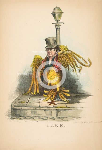 Lark, from The Comic Natural History of the Human Race, 1851. Creators: Henry Louis Stephens, L. Rosenthal.
