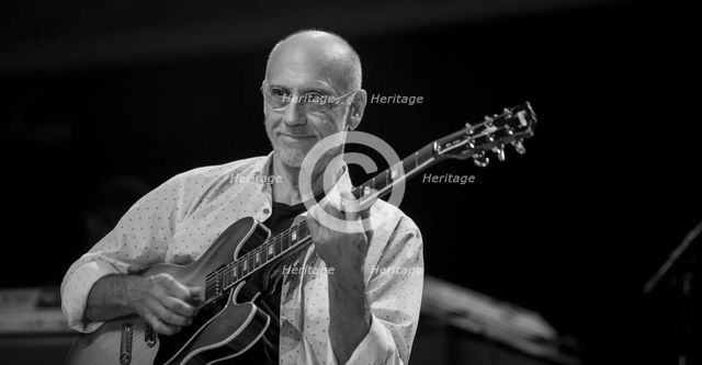 Larry Carlton, 2013. Artist: Alan John Ainsworth.