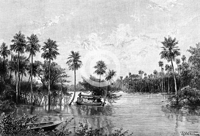 Las Palmes Lagunas, near the mouth of the Pilcomayo, 1895. Artist: Unknown