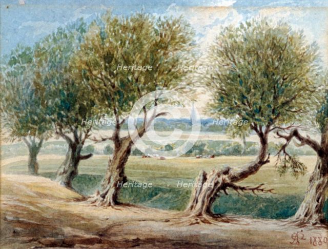 Last Vestige of the River Fleet, ...on the East side of Fleet Road, Hampstead, 1880. Artist: Edward Arthur Heffer