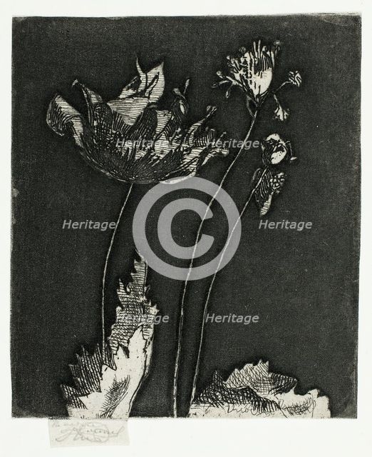 Last Poppies, 1897. Creator: Theodore Roussel.