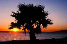 Last Sunset. Creator: Robert Manno