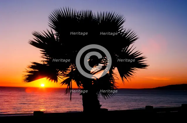 Last Sunset. Creator: Robert Manno.