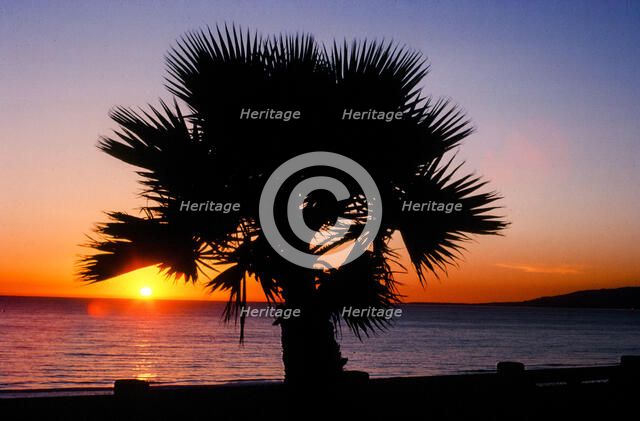 Last Sunset. Creator: Robert Manno.