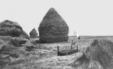 Le 2e anniversaire de la Marne; Une tombe dans les champs moissonnes pres de Neufmontiers 1916. Creator: Unknown
