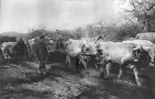 Le Calvaire du Vieux Roi; Pierre 1cr Karageorgevitch quitte le territoire Serbesu..., 1915 (1924). Creator: Vladimir Betzitch
