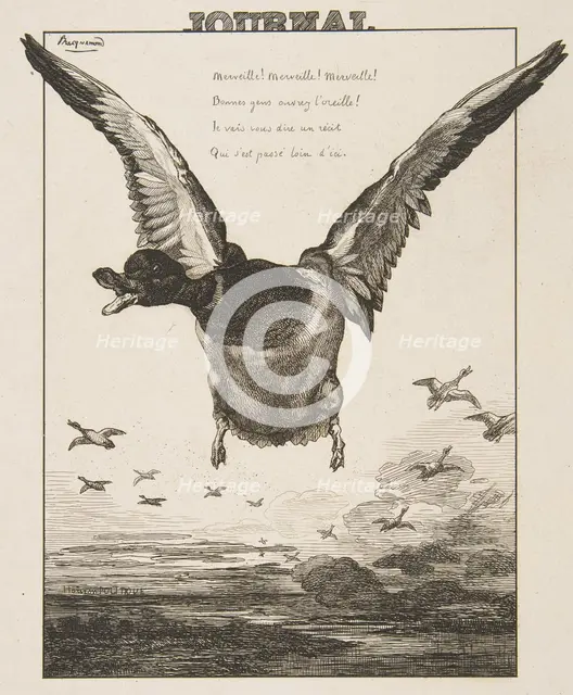 Le Canard, 1856. Creator: Felix Bracquemond.