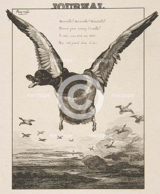 Le Canard, 1856. Creator: Felix Bracquemond.