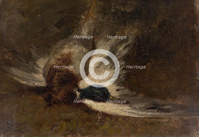 Le canard. Creator: Felix Francois Georges Philibert Ziem.