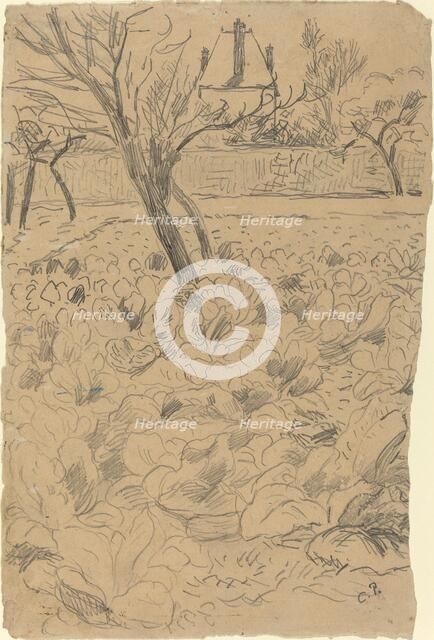 Le champ de choux, c. 1880. Creator: Camille Pissarro.