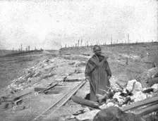 Le Champ de Bataille; Ce qui avait ete le bois de la Caillette et la voie ferree..., 1916 (1924) Creator: Unknown