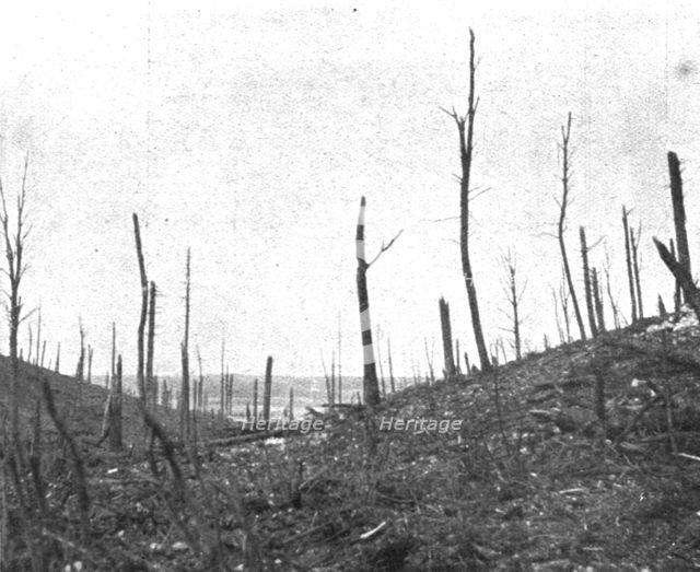 ''Le Champ de Bataille; La debouche du ravin de la Caillette', 1916 (1924) Creator: Unknown.