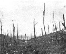 'Le Champ de Bataille; La debouche du ravin de la Caillette 1916 (1924) Creator: Unknown