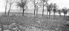 Le Champ de Bataille; La route d'Esnes a Bethincourt, entre le Mort-Homme et la..., 1916 (1924) Creator: Unknown
