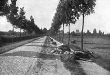 Le Champ de Bataille; Sur la chausse pavee de Diest a Haelen 1914. Creator: Meurisse