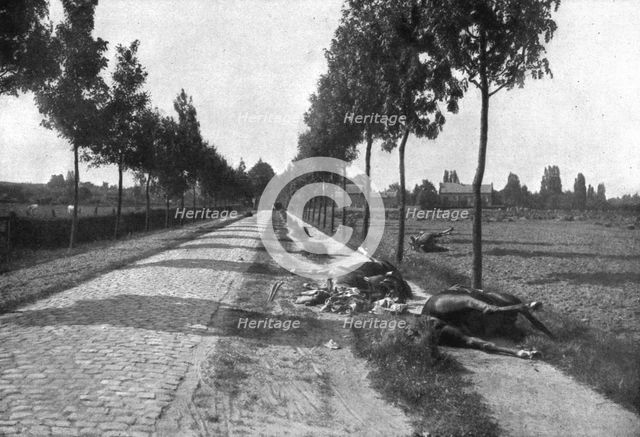'Le Champ de Bataille; Sur la chausse pavee de Diest a Haelen', 1914. Creator: Meurisse.