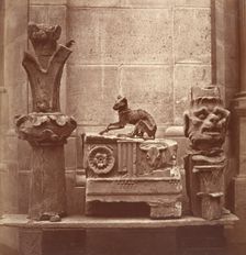 Le Chat Momifié (trouvé dans les fouilles de Saint-Germain-en-Laye), ca. 1862. Creator: Charles Marville