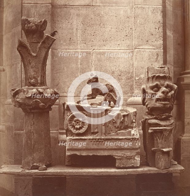 Le Chat Momifié (trouvé dans les fouilles de Saint-Germain-en-Laye), ca. 1862. Creator: Charles Marville.
