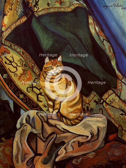 Le chat Raminou assis sur un tissu (Cat Raminou sitting on a cloth), 1920. Creator: Valadon, Suzanne (1865-1938).