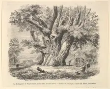 Le Châtaignier de Neuve-Celle, au bord du lac de Genève, after Daubigny, 1835-78. Creator: Unknown