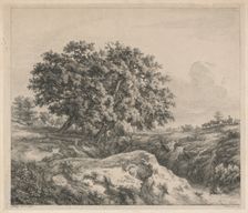 Le chêne au ravin (Oak Tree by a Ravine), 1845. Creator: Eugene Blery