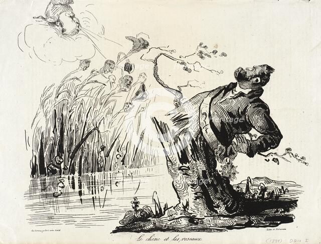 Le chêne et les roseaux, 1834. Creator: Honore Daumier.