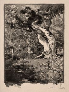 Le Clovis, Plateau de Bellecroix, 1890. Creator: Auguste Louis Lepère (French, 1849-1918)