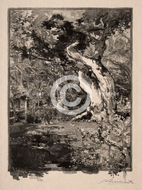 Le Clovis, Plateau de Bellecroix, 1890. Creator: Auguste Louis Lepère (French, 1849-1918).