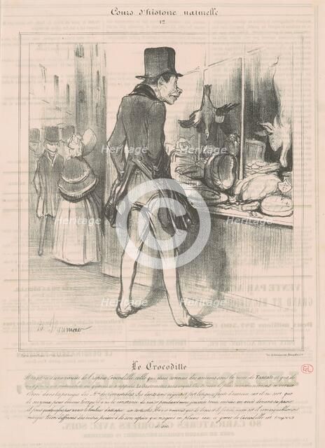 Le Crocodile, 19th century. Creator: Honore Daumier.