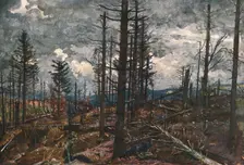 'Le Bois mutile (cote 955, au-dessus de Metzeral) 1915. Creator: Unknown