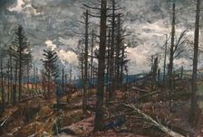 'Le Bois mutile (cote 955, au-dessus de Metzeral) 1915. Creator: Unknown