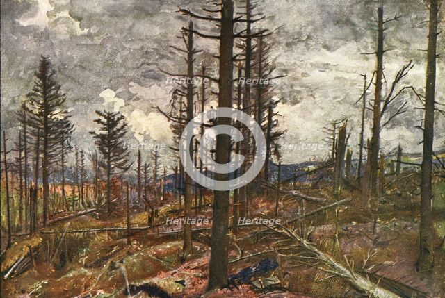 'Le Bois mutile (cote 955, au-dessus de Metzeral)', 1916. Creator: Charles-Jules Duvent.