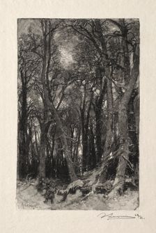 Le Bas Breau. Creator: Auguste Louis Lepère (French, 1849-1918)
