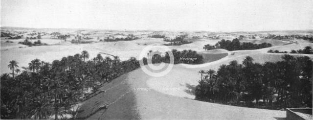 ''Le bas Sahara-Les Oasis, Oued Souf. La palmeraie; Afrique du nord', 1914. Creator: Goubault.