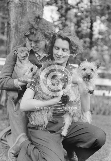 Le Gallienne, Eva, and unidentified woman, with dogs, outdoors, 1937 Creator: Arnold Genthe.