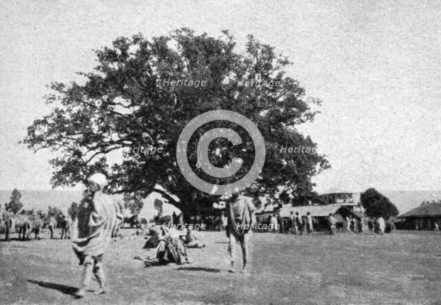 ''Le ficus geant de la place du marche d'Addis-Abeba; Le Nord-Est Africain', 1914. Creator: Charles Chusseau-Flaviens.