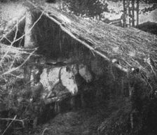 Le front pittoresque; Villages de Paillot et Terriers a flanc de coteaux: Une ecurie 1914. Creator: Unknown