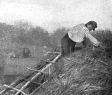 Le front pittoresque; Villages de Paillot et Terriers a flanc de coteaux: Un "couvreur" 1914. Creator: Unknown