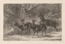 Le harde. Creator: Karl Bodmer