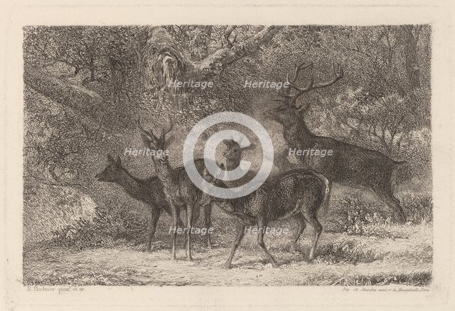Le harde. Creator: Karl Bodmer.
