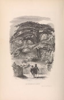 Le Jardin des Plantes, Descriptions et Moeurs des Mammiferes, 1842. Creator: Francois Boitard