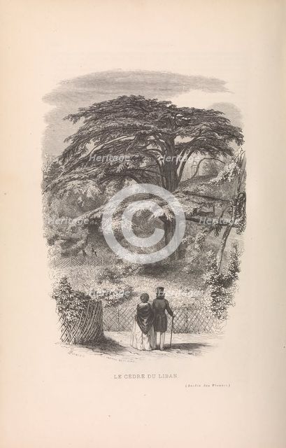 Le Jardin des Plantes, Descriptions et Moeurs des Mammiferes, 1842. Creator: Francois Boitard.