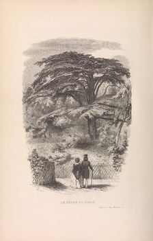 Le Jardin des Plantes, Descriptions et Moeurs des Mammiferes, 1842. Creator: Francois Boitard