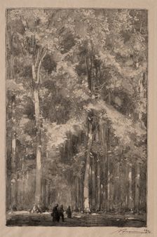 Le Matin, carrefour des Forts Marlotte, 1889. Creator: Auguste Louis Lepère (French, 1849-1918)