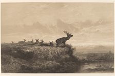Le Matin. Cerf et Biches. Creator: Karl Bodmer